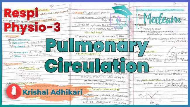 Respiration Perfusion Mental : 呼吸灌注心理