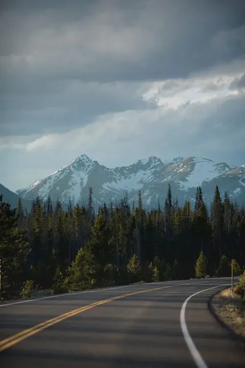 Forest Road : 森林道路