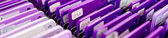 Laboratory Partner : 实验室合作伙伴