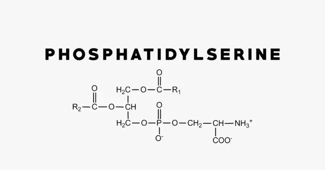 Phosphorylated Serine : 磷酸化丝氨酸