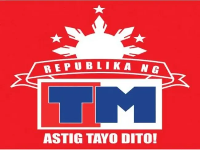 Mobile Wireless Virtual Private Network : 移动无线虚拟专用网