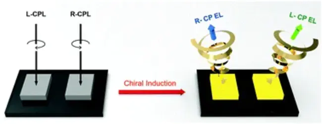 Circularly Polarized Luminescence : 圆偏振光