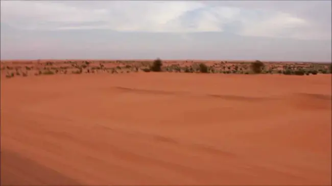 Aleg, Mauritania : 阿勒格，毛里塔尼亚