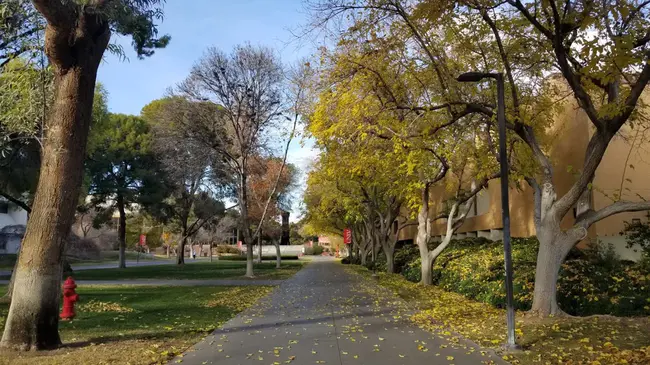 Walking Very, Very Fast : 走得非常，非常快