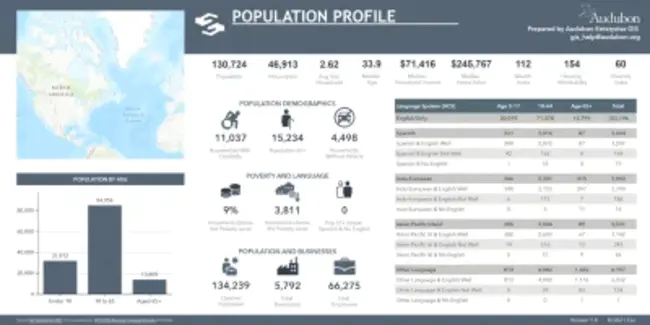 Demographic Profile : 人口概况