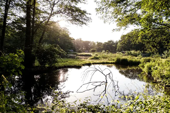 Wetlands and Wildlife Care Center of Orange County : 奥兰治县湿地和野生动物保护中心