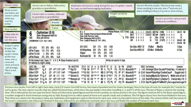 Handicapped Equestrian Learning Program : 残疾人马术学习计划