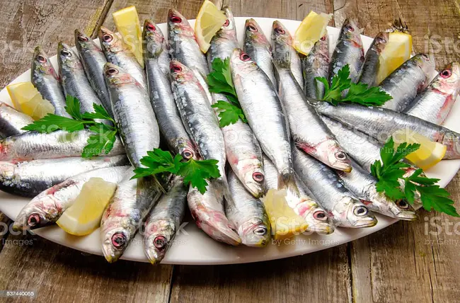 Sardines, Salad, and Suds : 沙丁鱼、沙拉和肥皂水