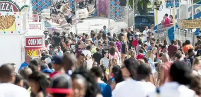 Wave Leader Election Protocol : 波头选择协议