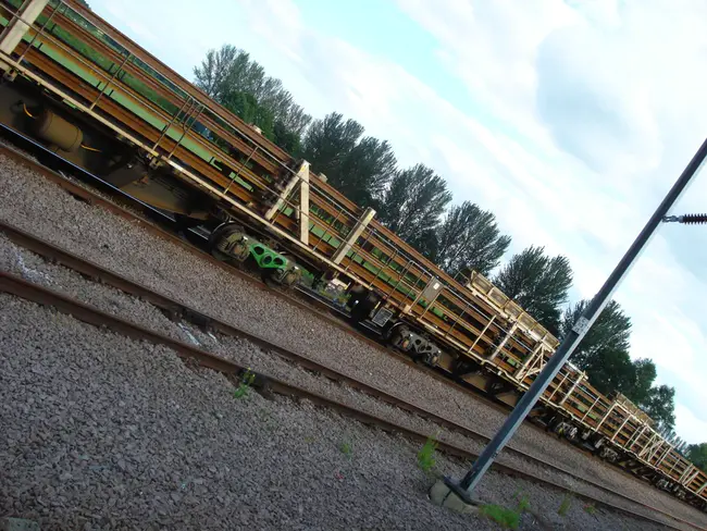 Raised Rail : 凸起钢轨