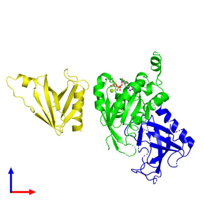 W W domain containing OXidoreductase gene : 含氧化还原酶基因的w w域