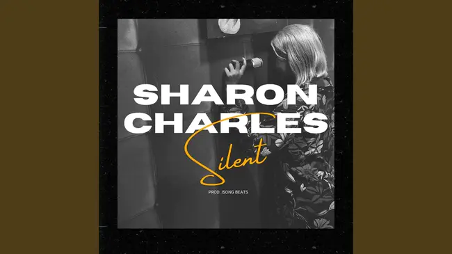 Silent Edition : 无声版