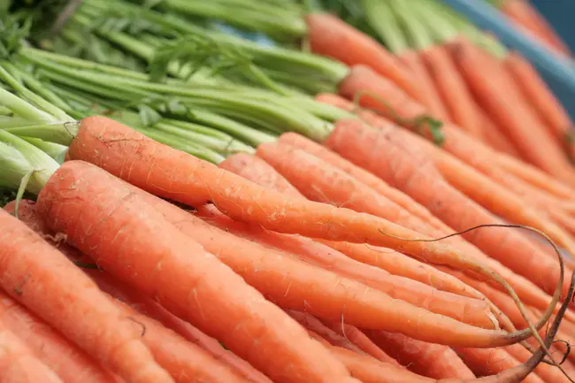 Carrots Broccoli And Beans : 胡萝卜、花椰菜和豆子