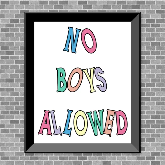 No Boys Allowed : 不允许男孩