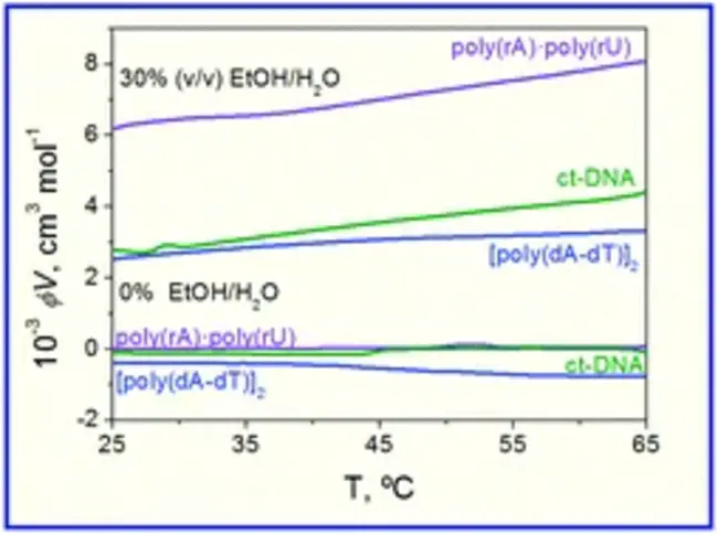 World XYLENES and TEREPHTHALATES Analysis : 世界二甲苯和对苯二甲酸盐分析