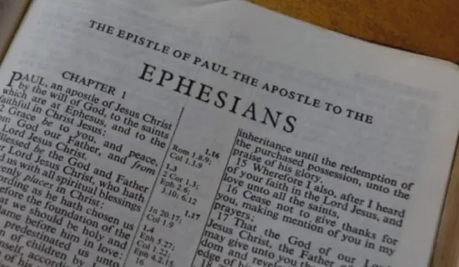 Senior Pastor : 高级牧师