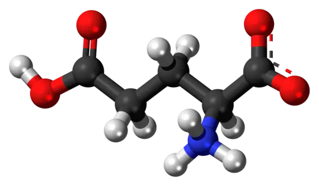 Glutamate Oxaloacetate Transferase : 谷氨酸草酰乙酸转移酶