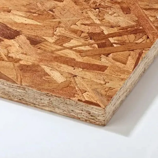 Oriented Stand Board : 定向展板