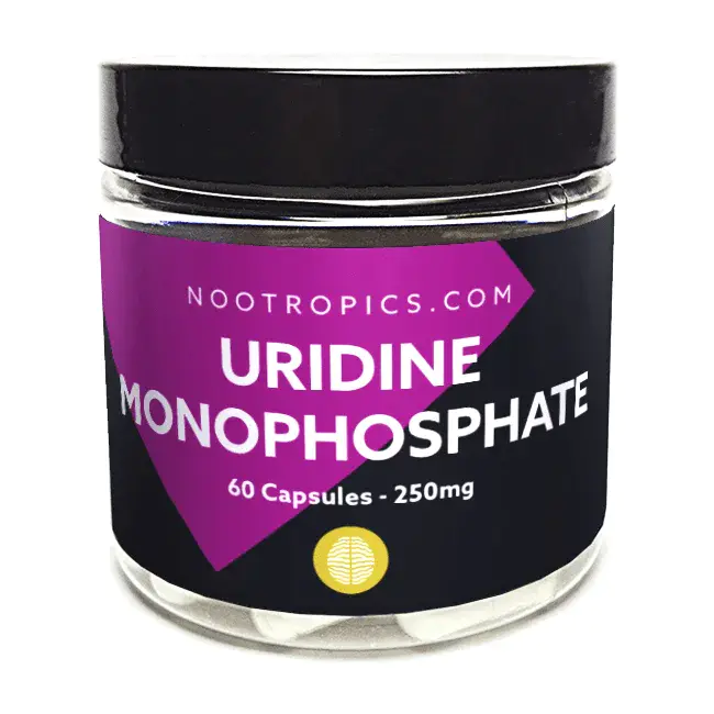 Uridine Diphosphate A Phosphorilated : 磷酸尿苷二磷酸A