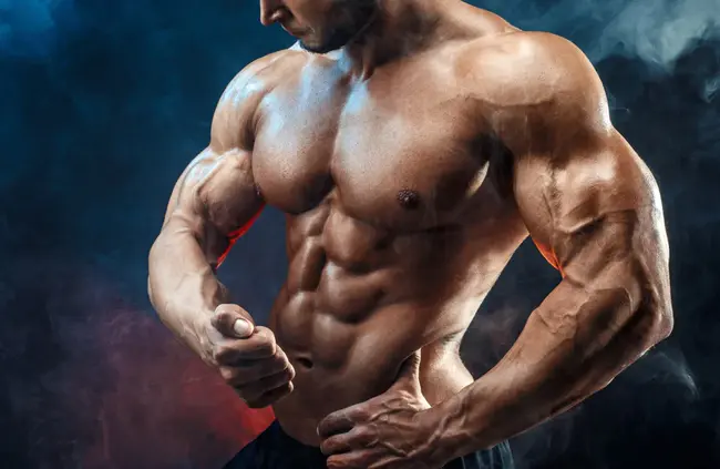 Anabolic And Androgenic Steroids : 合成代谢和雄激素类固醇