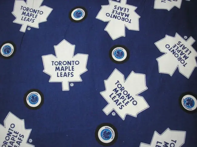 Toronto Maple Leafs : 多伦多枫叶队