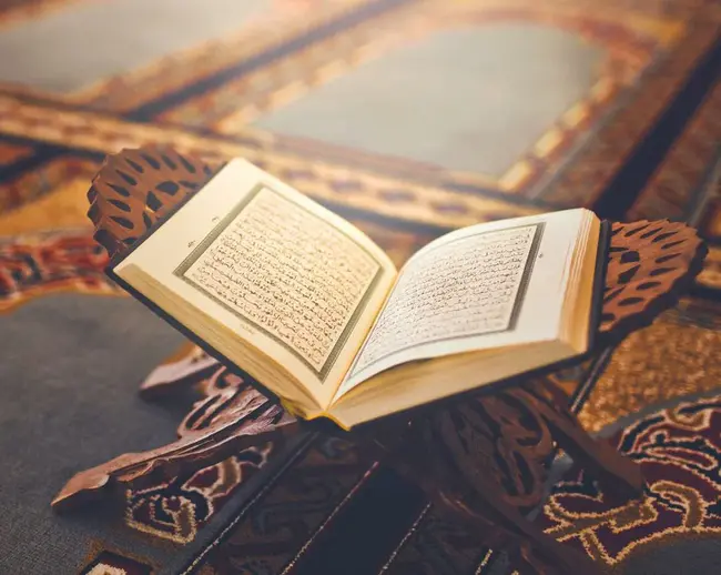 Quran Multiple Translations : 古兰经多种翻译