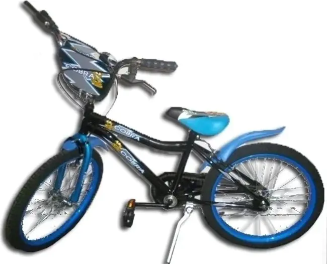 Cobra Junk : 眼镜蛇垃圾