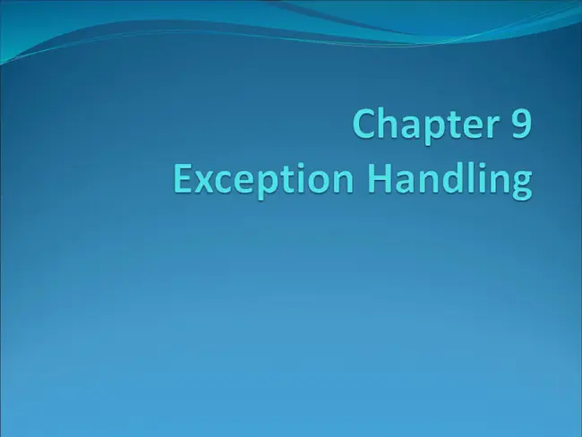 Exception Handler : 异常处理程序