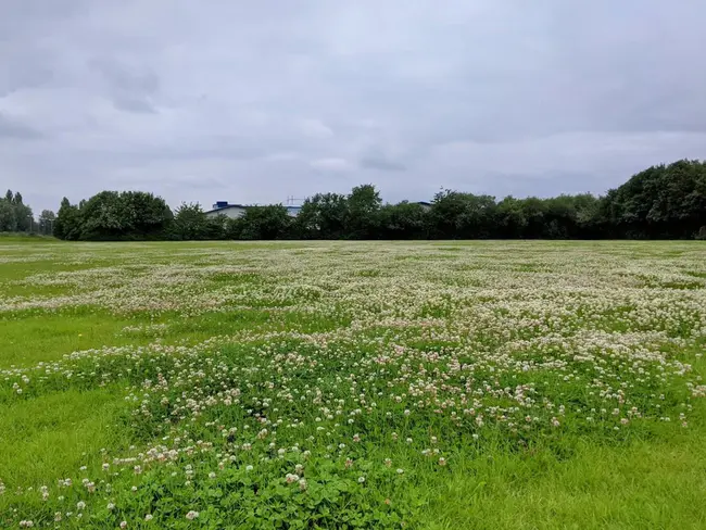 Lawn Hill, Queensland, Australia : 澳大利亚昆士兰草地山