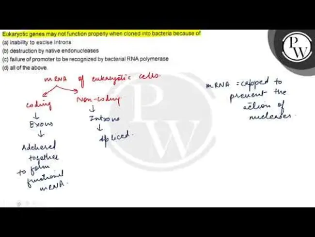 Eukaryotic Gene Orthologs : 真核基因同源谱