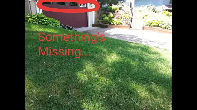 Dumb System : 哑系统