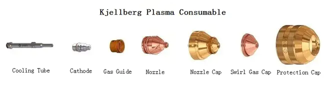 Plasma Cell Labeling Index : 血浆细胞标记指数