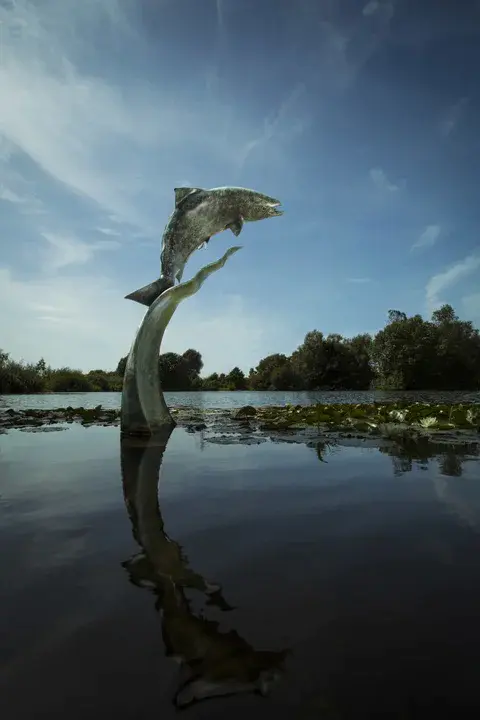 Lockheed Salmon Exoskeleton Flying Vehicle : 洛克希德三文鱼外骨骼飞行器