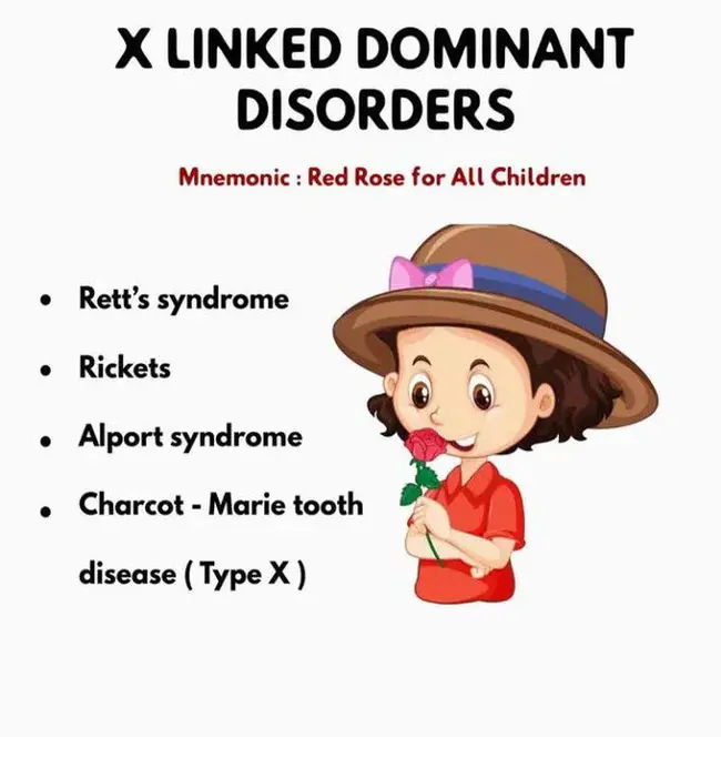 X-linked Immune Defect : X连锁免疫缺陷