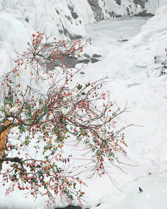 Douglas Invader Experimental aircraft : 道格拉斯入侵者实验机