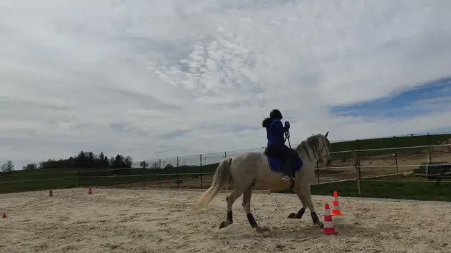 Forward Point : 前向点