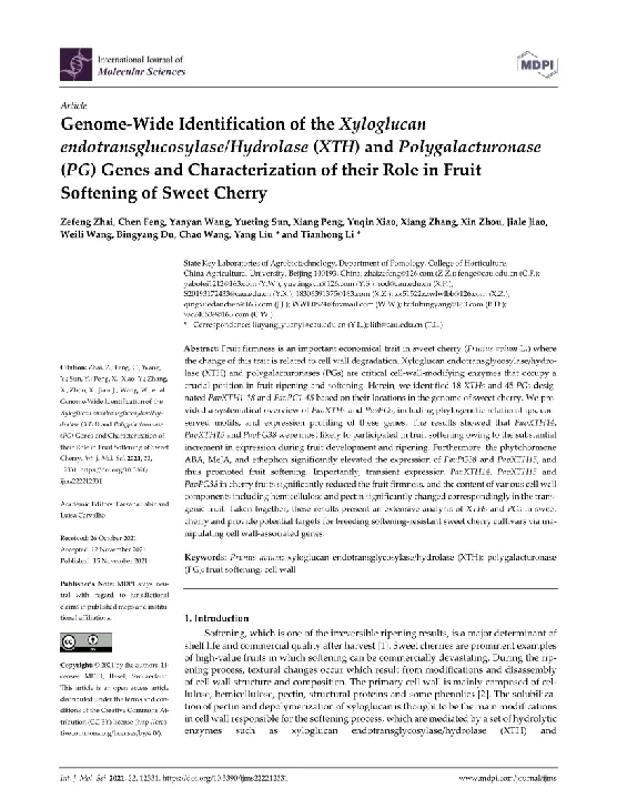 Xyloglucan endo- Ttransglucosylase/ Hydrolase : 木葡糖内切-转糖基化酶/水解酶