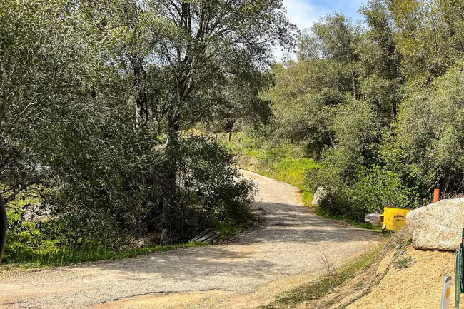 California Department Of Forestry : 加利福尼亚林业厅