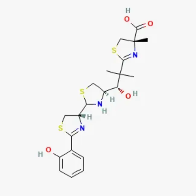 Yersiniabactin : 耶尔森菌素