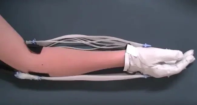 Self Adaptive Robotic Auxiliary Hand : 自适应机器人辅助手