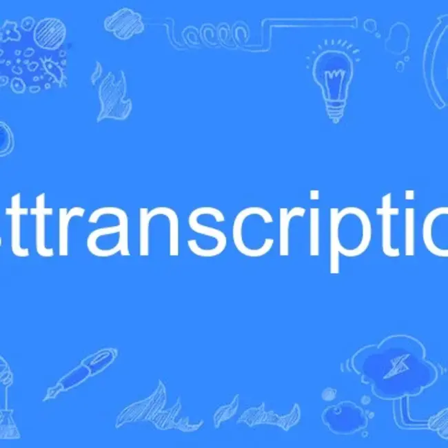 Post Transcriptional Control : 转录后控制