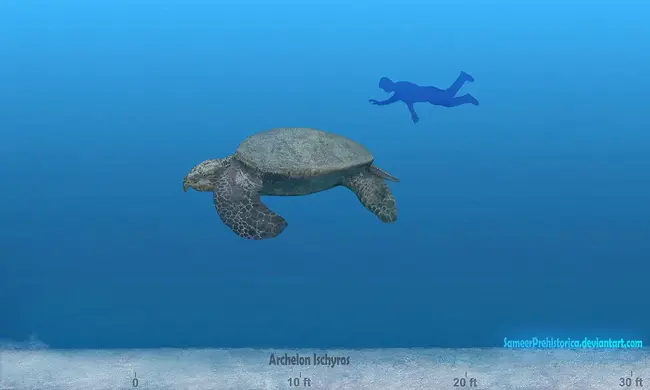 Archelon Jurassic : 太古代侏罗纪