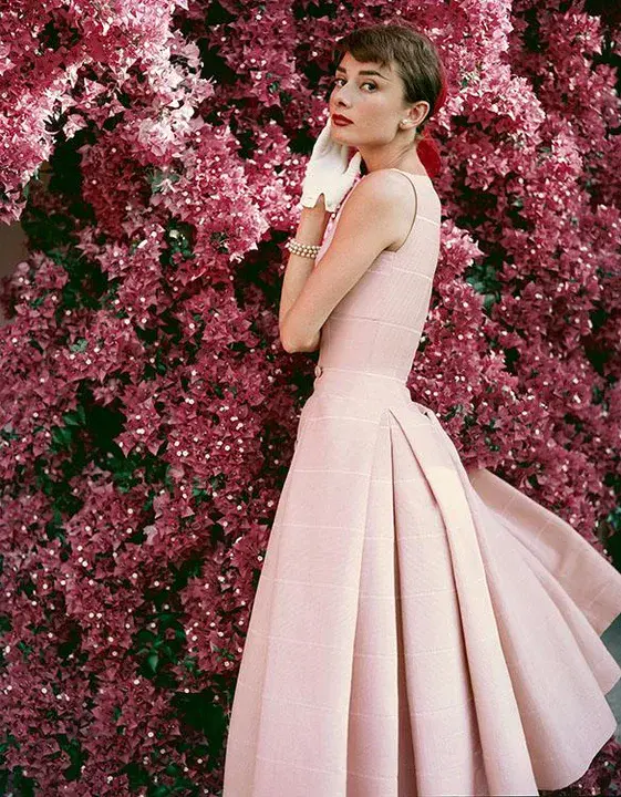 Summer Theater At The Rep : 代表处的夏季剧院