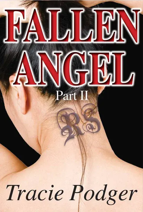 Fallen Angels Used Books : 堕落天使用过的书