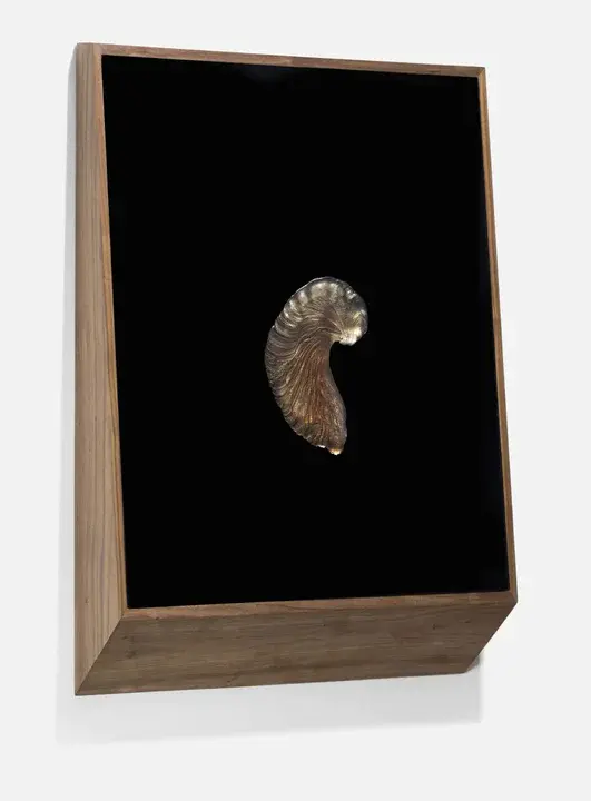 After Petroleum : 石油后