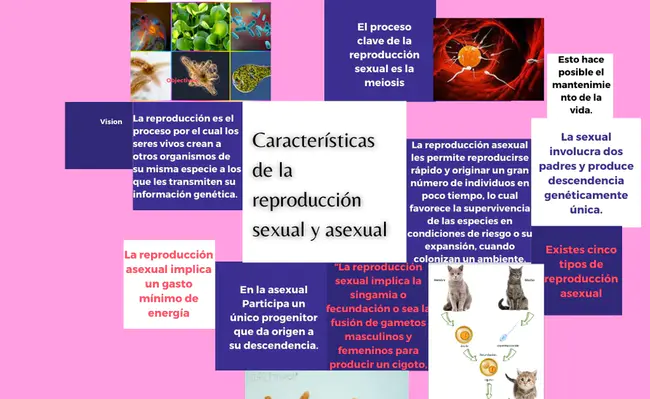 Common Progenitor : 共同的祖先