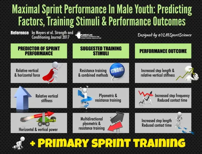 Youth Training System : 青年培训体系