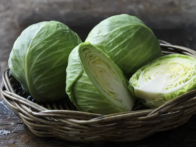 Pickled Cabbage Reserve : 酸菜储备