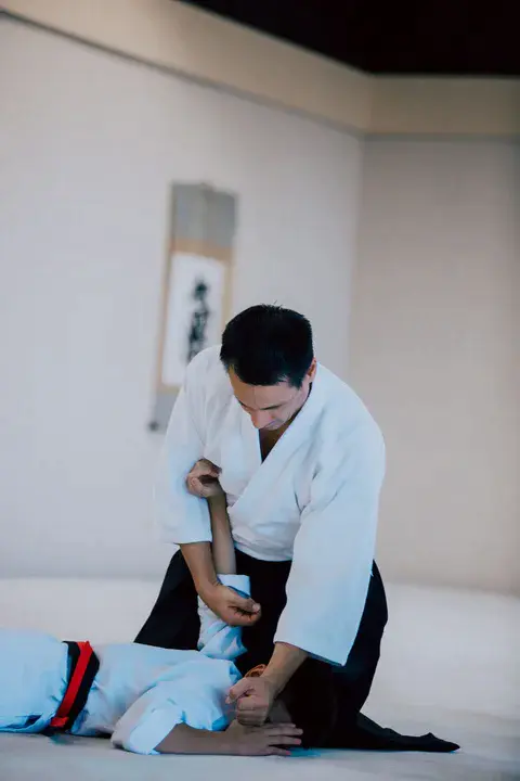 Aikido Schools of Ueshiba : 上石坝合气道学校