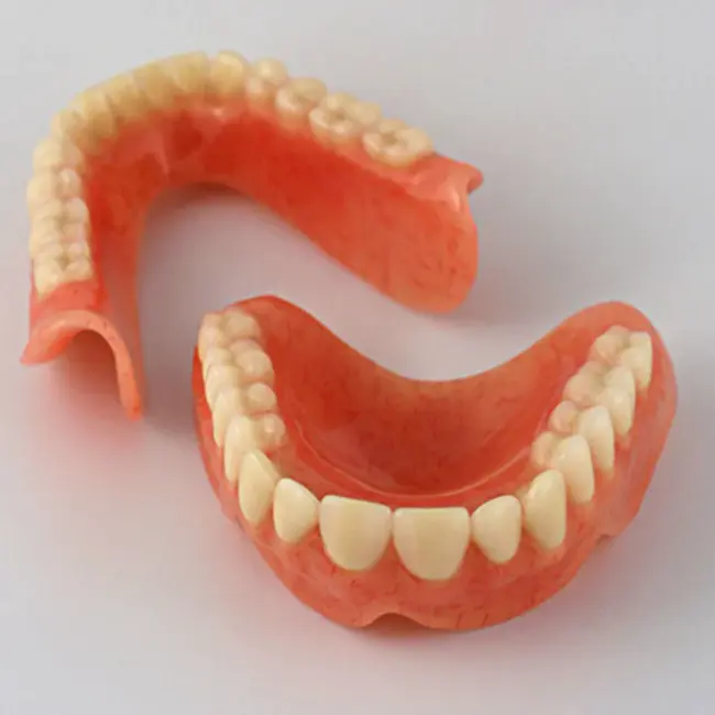 False Teeth : 假牙